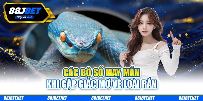 Các bộ số may mắn khi gặp giấc mơ về loài rắn Các bộ số may mắn khi gặp giấc mơ về loài rắn