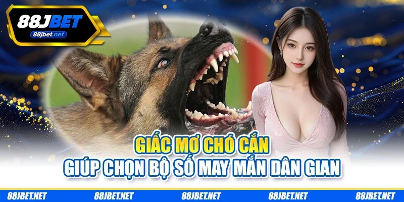 Giấc mơ chó cắn giúp chọn bộ số may mắn dân gian Giấc mơ chó cắn giúp chọn bộ số may mắn dân gian