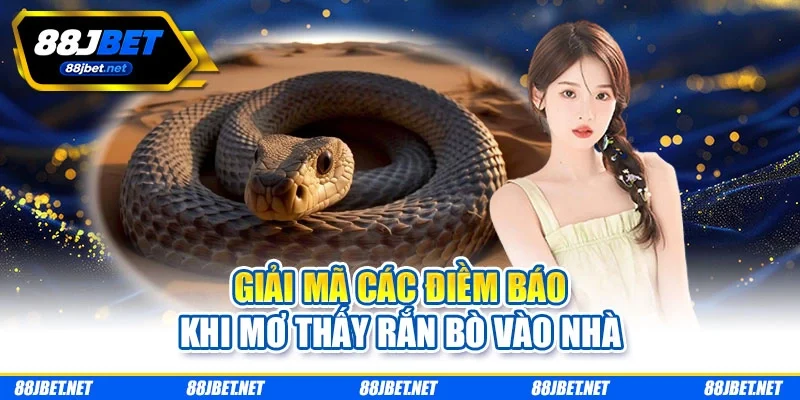 Giải mã các điềm báo khi mơ thấy rắn bò vào nhà Giải mã các điềm báo khi mơ thấy rắn bò vào nhà