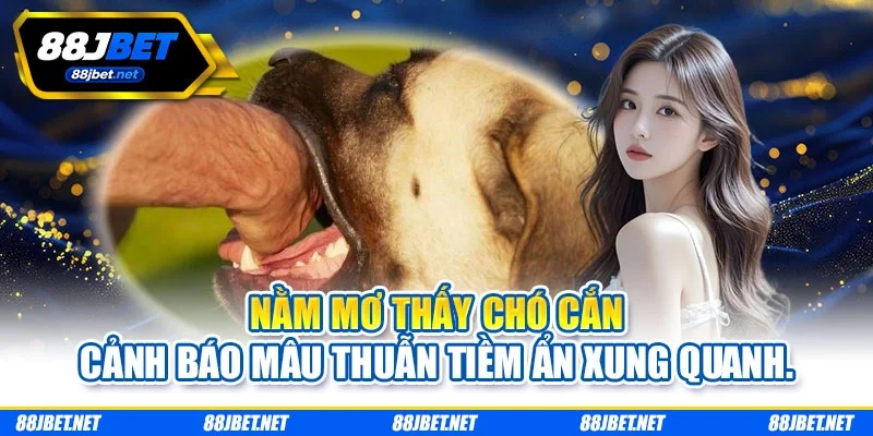 Nằm mơ thấy chó cắn cảnh báo mâu thuẫn tiềm ẩn xung quanh. Nằm mơ thấy chó cắn cảnh báo mâu thuẫn tiềm ẩn xung quanh.