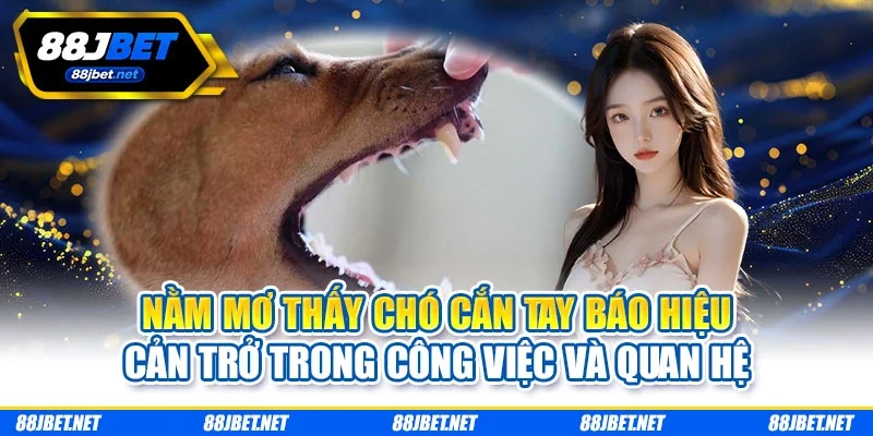 Nằm mơ thấy chó cắn tay báo hiệu cản trở trong công việc và quan hệ Nằm mơ thấy chó cắn tay báo hiệu cản trở trong công việc và quan hệ