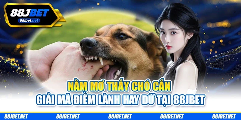 Nằm Mơ Thấy Chó Cắn - Giải Mã Điềm Lành Hay Dữ Tại 88JBET