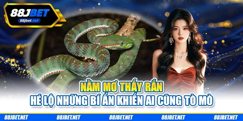 Nằm Mơ Thấy Rắn Hé Lộ Những Bí Ẩn Khiến Ai Cũng Tò Mò