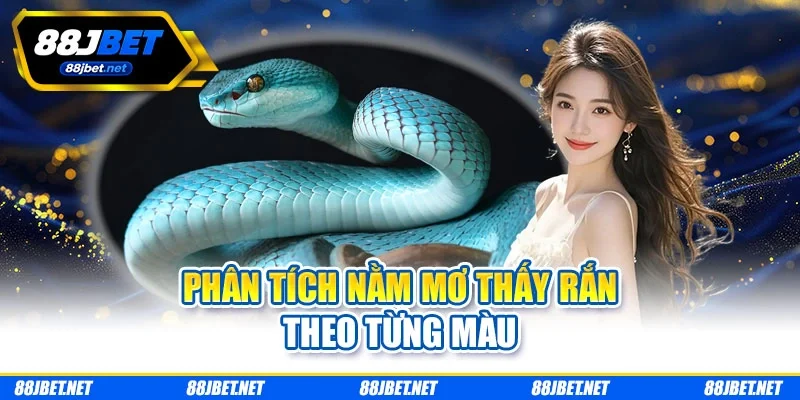 Phân tích nằm mơ thấy rắn theo từng màu Phân tích nằm mơ thấy rắn theo từng màu